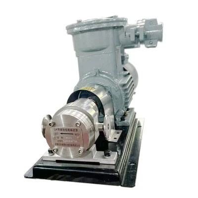 stainless steel pumps -2 stainless steel pumps -2